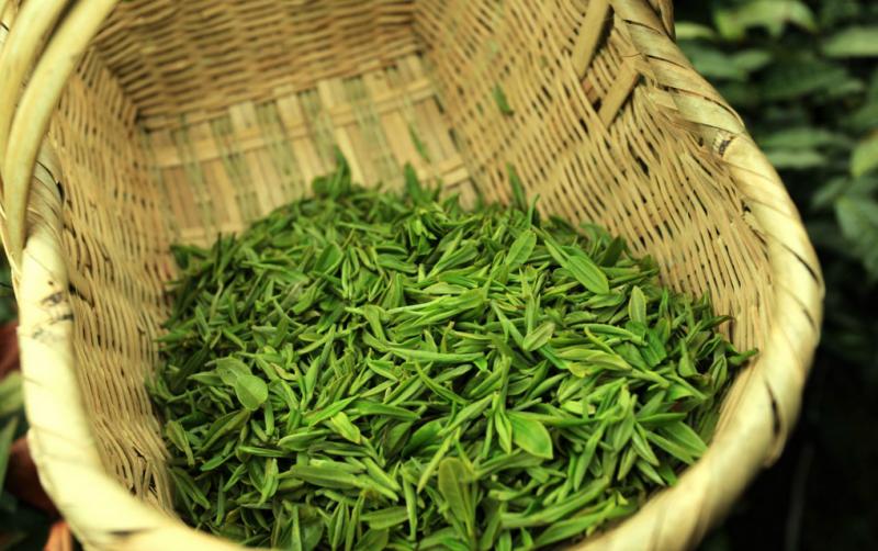 2022中国十大名茶,中国十大名茶图片大图