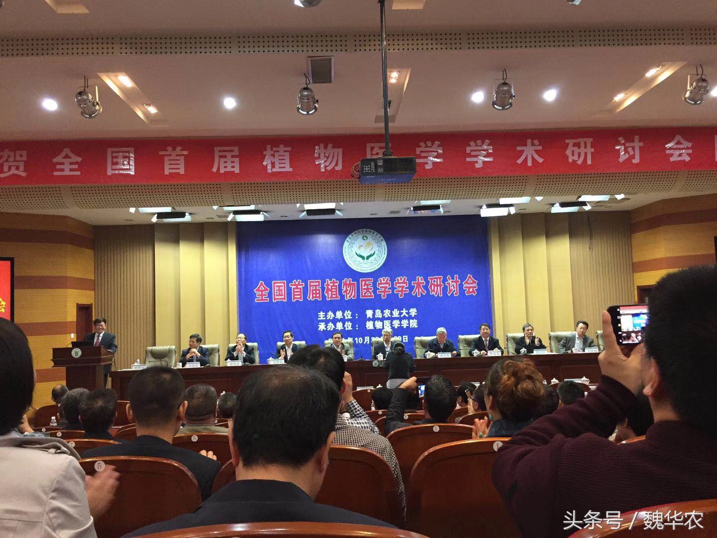 无土栽培家庭蔬菜种植方案怎么写,潮汐虹吸无土栽培蔬菜技术视频