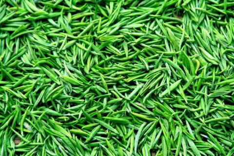 2022中国十大名茶,中国十大名茶图片大图