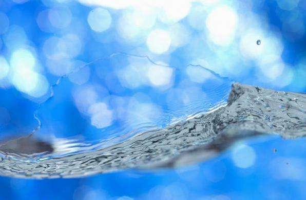 蓝藻统治了地球多少年,蓝藻爆发与什么元素有关