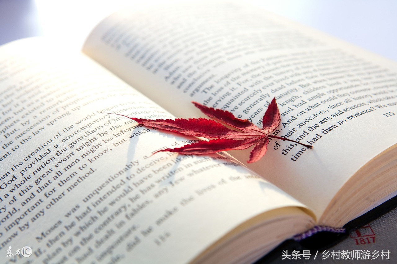 八年级上册记承天寺夜游翻译完全,八年级下册语文记承天寺夜游翻译