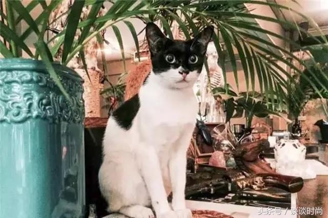 到泰国旅游有哪些必买,泰国的旅游必买清单