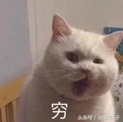 不吃土也能拥有大牌质感,不吃土也能够买到什么