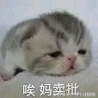 本能比肩《指环王》的一部神作，就这么被索尼影业拍砸了……