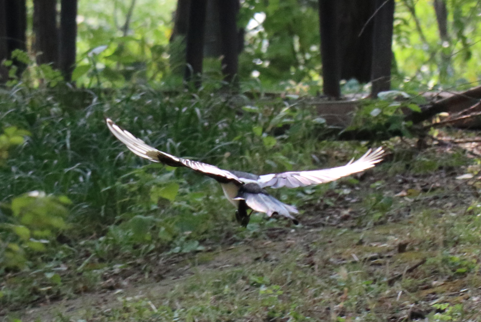佳能eosm6二代拍照指南,佳能m6二代拍摄作品欣赏
