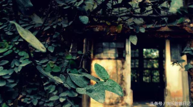 小学成语总结大全及意思,小学成语总结大全幽默