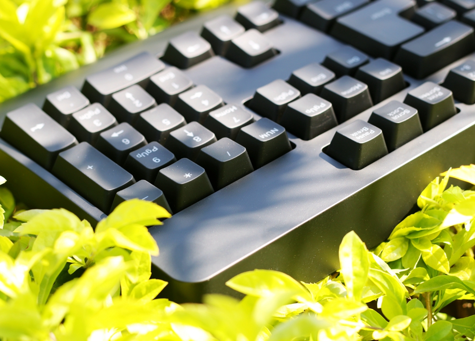 这个键盘头有些铁—ZOWIECELERITASII机械键盘