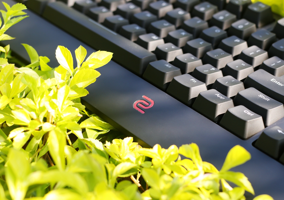 这个键盘头有些铁—ZOWIECELERITASII机械键盘