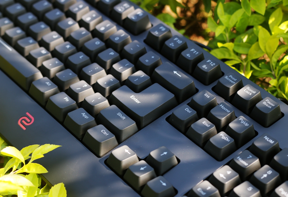 这个键盘头有些铁—ZOWIECELERITASII机械键盘