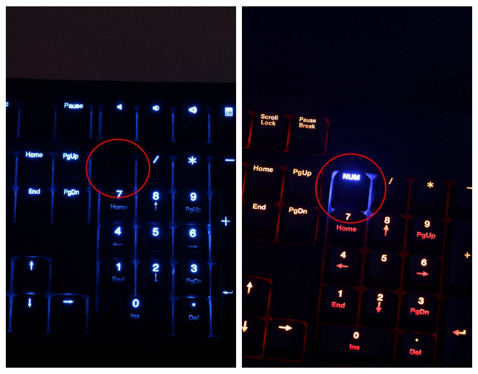 这个键盘头有些铁—ZOWIECELERITASII机械键盘