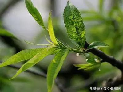 天冷狐臭不能捂，搞定狐臭这8招你不能不知道