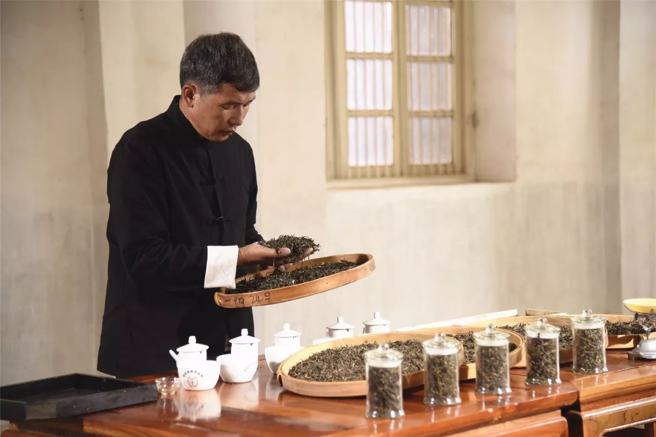 龙润普洱茶大师,中国最顶级茶师谈普洱茶