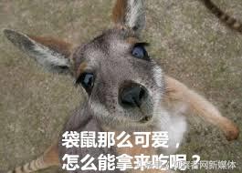 澳大利亚中国吃货,澳大利亚卖中国美食