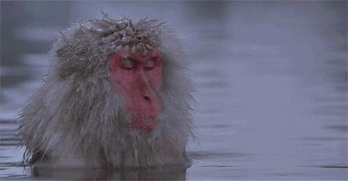 喝酒泡了温泉会怎么样,喝酒以后泡温泉会怎么样