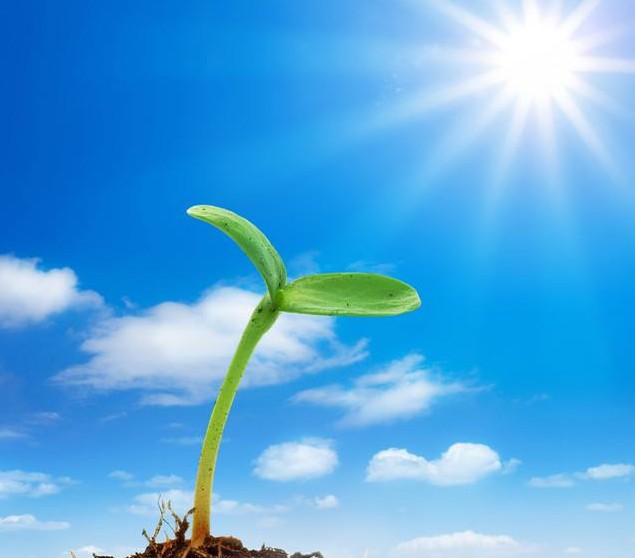 面神经麻痹会自愈吗,面神经麻痹偏方大全