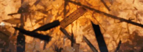 依旧「死不正经」，这部电影不服不行