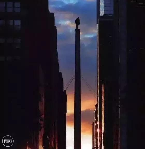 作死魔术,作死的魔术师