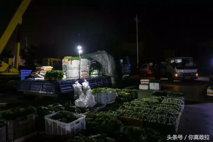 我们用49张图，记录下了零点后的临沂