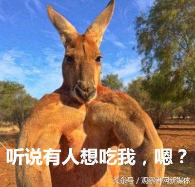 澳大利亚中国吃货,澳大利亚卖中国美食