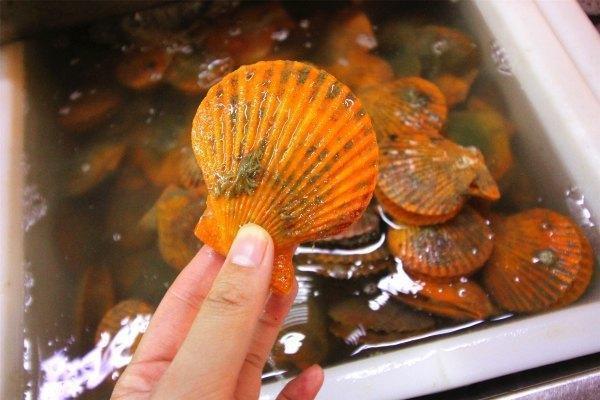 带上兜兜去旅游,带着小嘟嘟去旅游