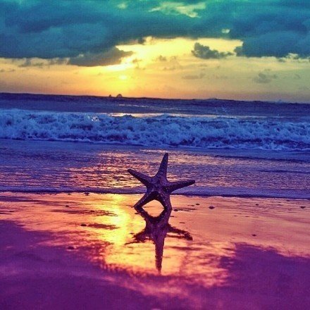 发朋友圈早安语录励志正能量,早安心语合适发朋友圈正能量短句