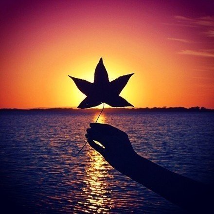 发朋友圈早安语录励志正能量,早安心语合适发朋友圈正能量短句