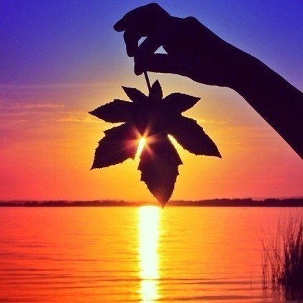 发朋友圈早安语录励志正能量,早安心语合适发朋友圈正能量短句