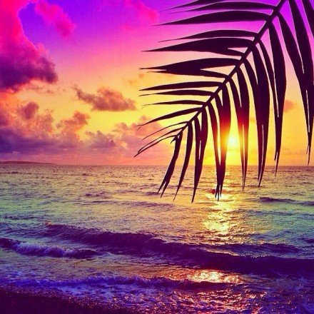 发朋友圈早安语录励志正能量,早安心语合适发朋友圈正能量短句