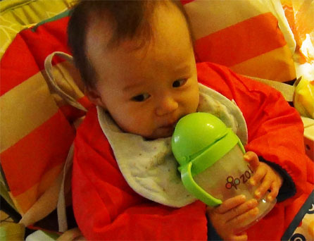 宝宝辅食餐具哪种好用 (宝宝辅食餐具什么牌子好)