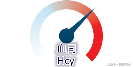 血同型半胱氨酸会影响血糖吗,同型半胱氨酸偏低的危害