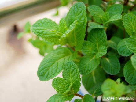 割眼袋能减少下眼袋的皱纹吗,眼袋贴消除眼袋正品去皱纹