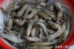 青椒炒小河虾配煎饼,青椒炒河虾不用油炸