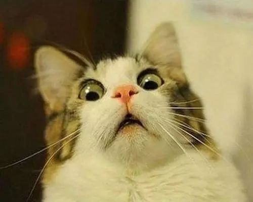 从秦始皇到皇太极，他演电视剧把历史学了个遍，能够转行当老师了