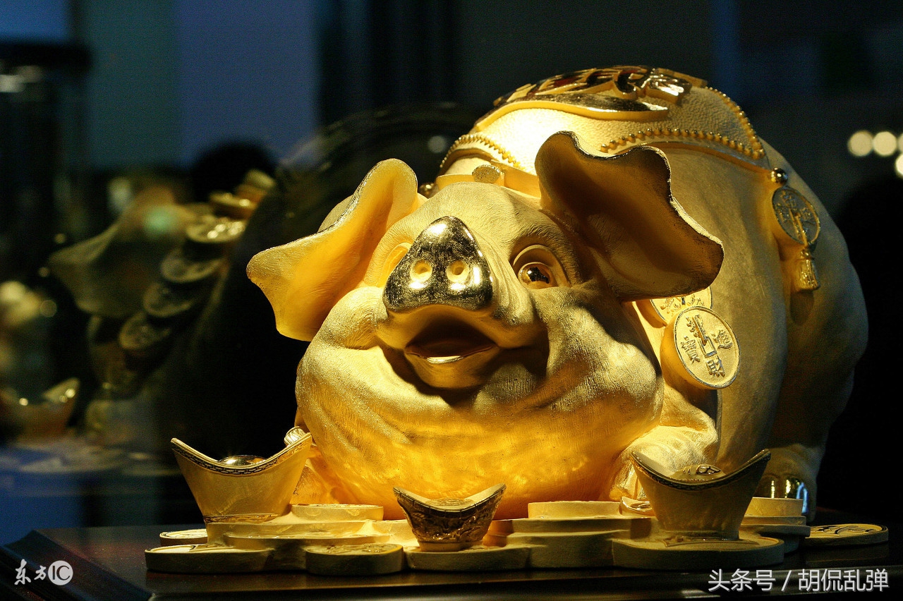 71年生肖猪今日运势,生肖猪卯时出生的运势