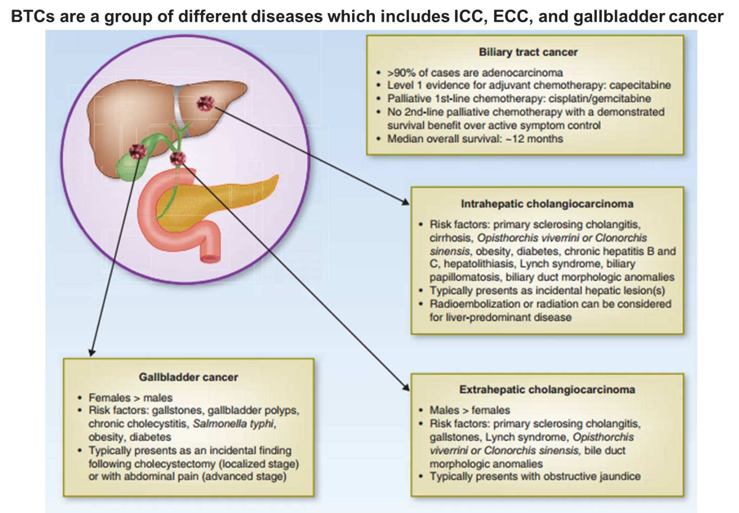 胆管癌免疫加靶向能够长期生存,胆管癌用了免疫药和靶向药费用