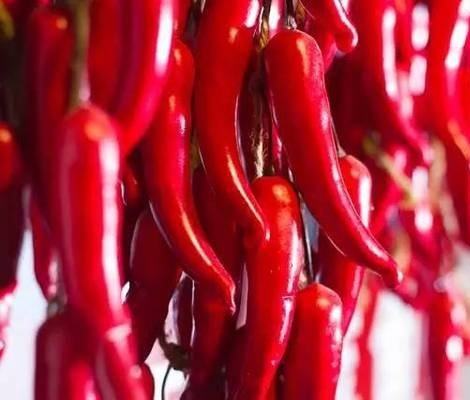 四川最具特色的美食小吃,四川土特产包含有哪些美食