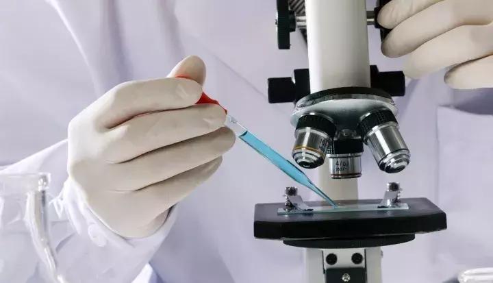 爱马仕眼霜,爱马仕高丽雅娜眼霜