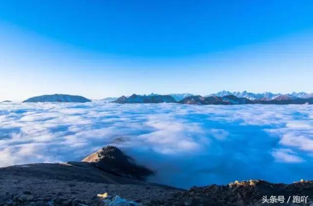 为何不要随便去雅安？