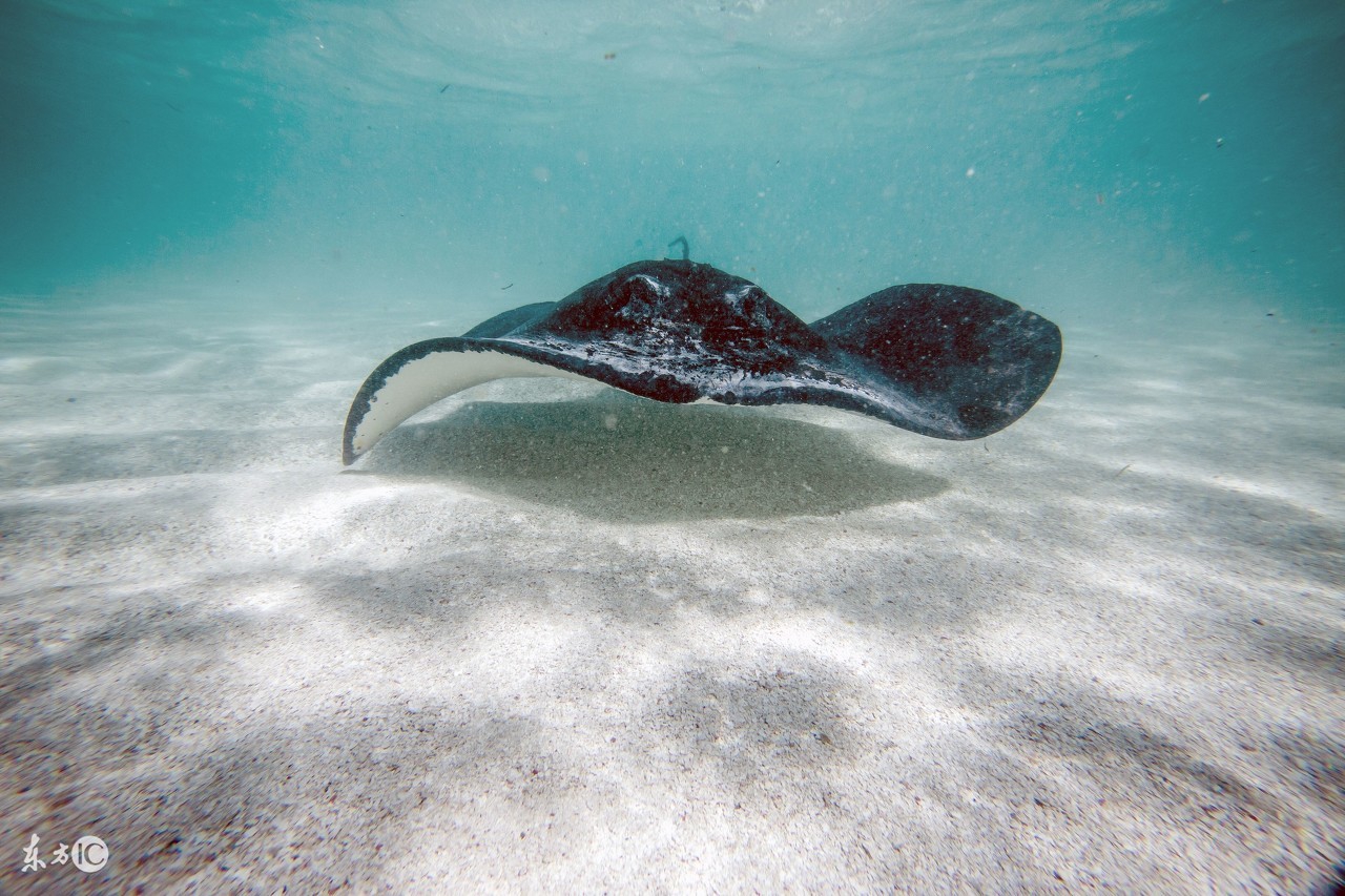 早安发圈吸引人的句子唯美带字,早安的简短唯美句子图片