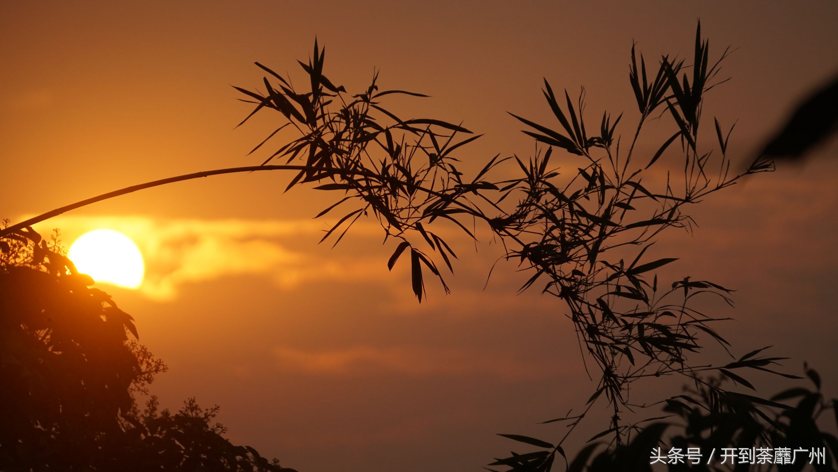 官洲岛：微凉初秋夕阳无限好天色已黄昏