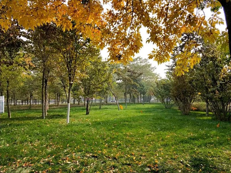 手机摄影作品赏析,手机摄影作品也能够美不胜收