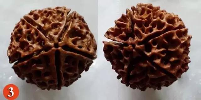 金刚菩提怎么分辨是不是落地红,金刚菩提吊坠识别真假