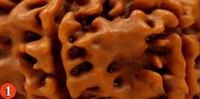 金刚菩提怎么分辨是不是落地红,金刚菩提吊坠识别真假