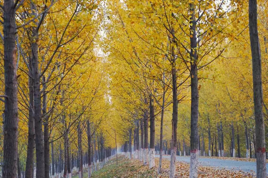 手机摄影作品赏析,手机摄影作品也能够美不胜收