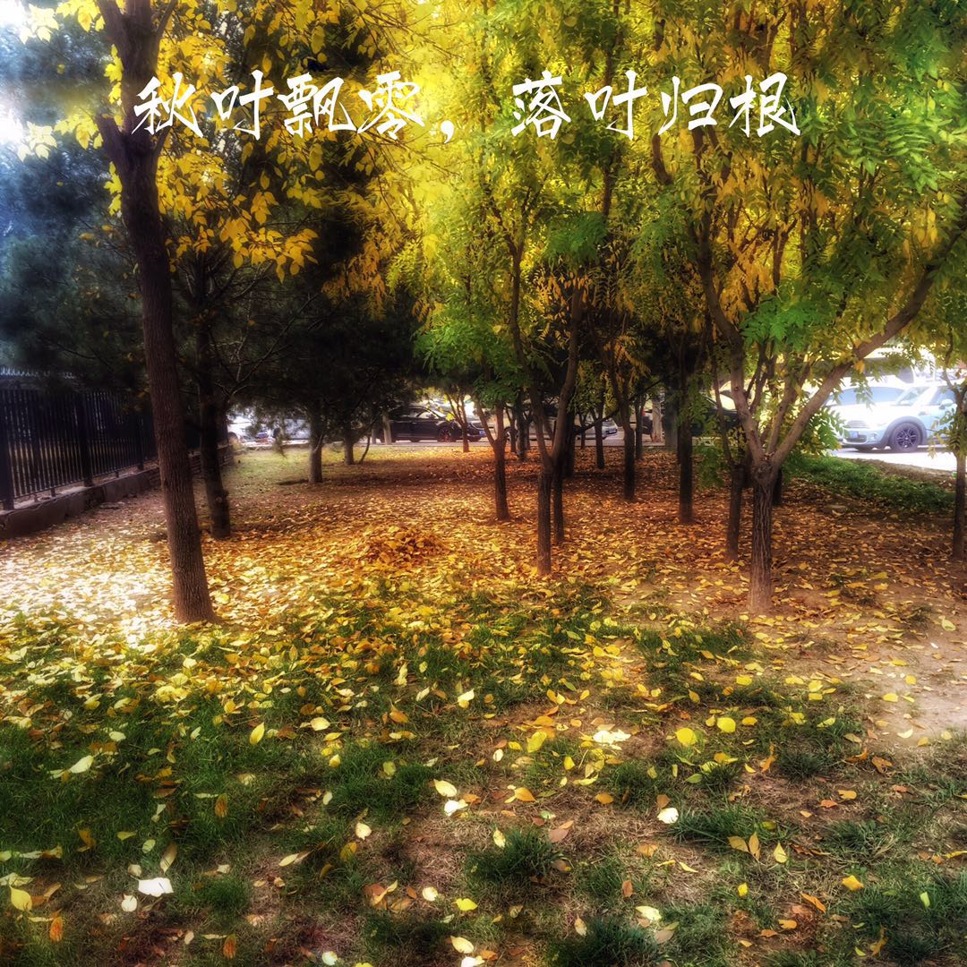 手机摄影作品赏析,手机摄影作品也能够美不胜收