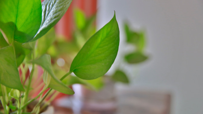 苏州旅游攻略两日游自由行,苏州旅游攻略2-3天自由行