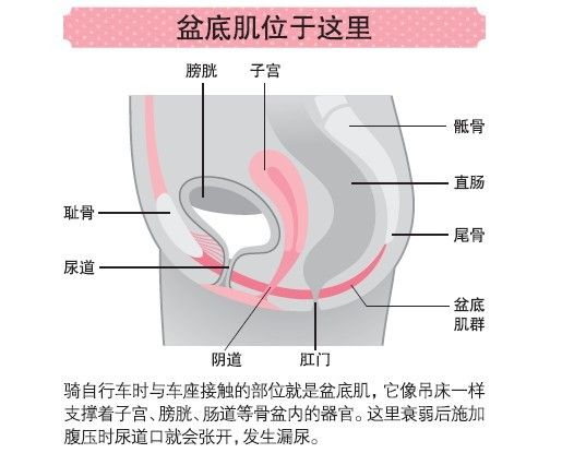 怀孕分娩对盆底肌肉的影响,生完孩子盆底肌受损严重能够恢复吗