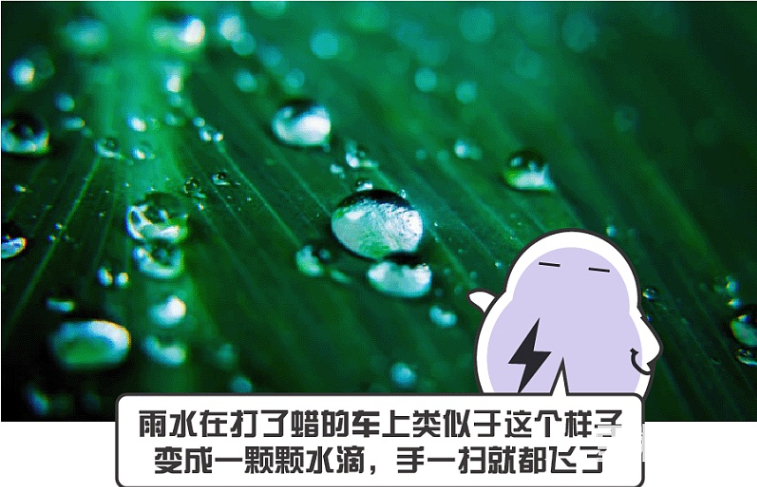 打蜡镀晶封釉车衣有什么区别,隐形车衣和镀晶和打蜡哪个好