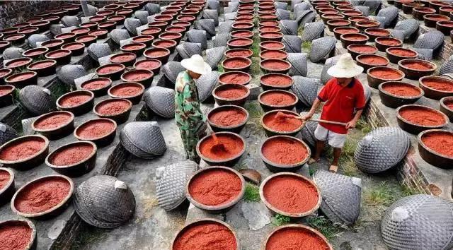 乡村振兴战略五年规划重点项目,乡村振兴计划重点项目