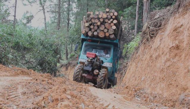 国产车动力最强的三款车,国产车最抗造最耐用的几款车